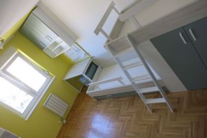 Decjasoba rastko (17)