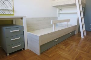 Decjasoba rastko (19)