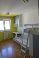 Decjasoba rastko (7)