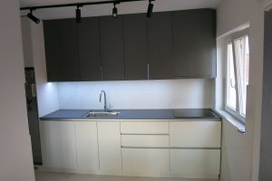 Kuninja dalmatinska (6)