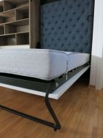 Zidnikrevet bellissima (3)